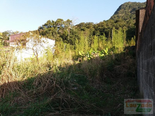 Terreno Para Venda Em Peruíbe, Parque Peruibe - 1193_2-561365