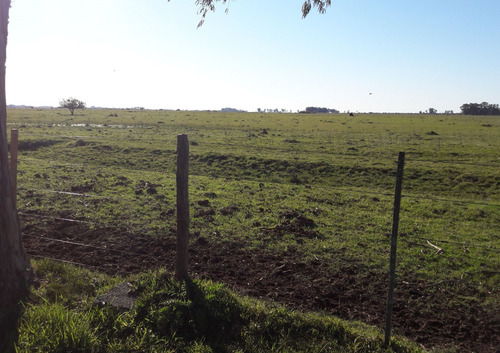 Campo En Alquiler En Punta Indio - 569 Hectáreas