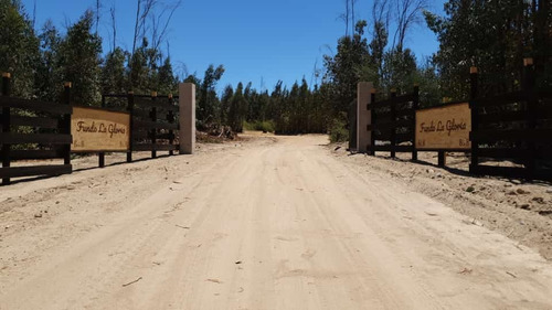 Oportunidad Parcela 7.500 Mts Cerrada, Luz, Pumanque.