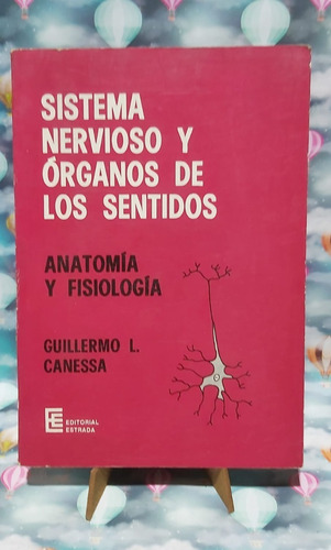 Sistema Nervioso Y Organos De Los Sentidos