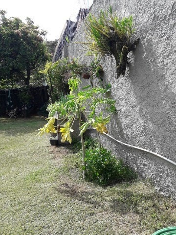 Casa - Venda - Jardim Samambaia - Cod. 1737 - V1737