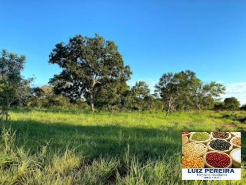 Imagem 1 de 15 de Fazenda A Venda No Formoso Do Araguaia-to-de 240 Alqueirões (dupla Aptidão) - 1669