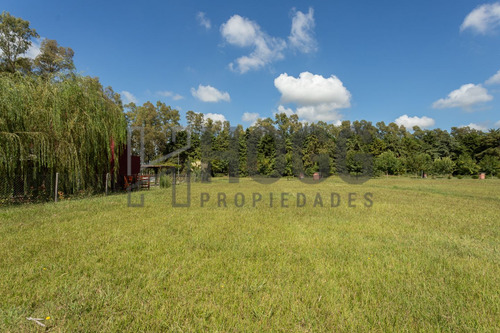 Lote 1000 M2 El Tropezón