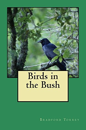 Birds In The Bush