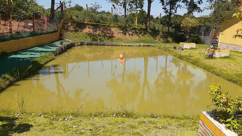 Chácara Com 2 Dormitórios À Venda, 1840 M² Por R$ 400.000 - Serra Velha - Elias Fausto/sp - Ch0065