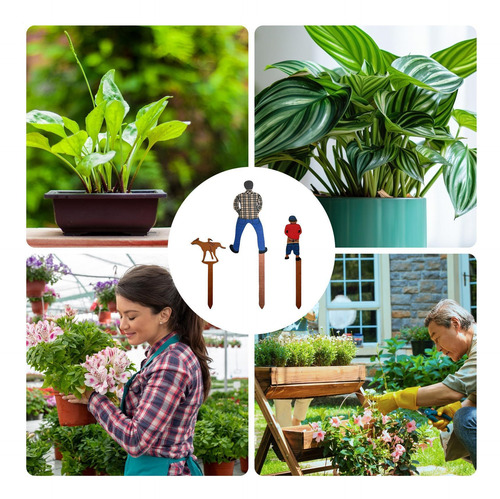 Decoração De Estaca De Planta Em Vaso Marcadores De Planta D