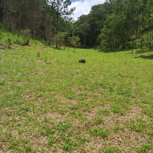 Imagem 4 de 12 de Terreno Em Juquítiba Sp 5 Mil Metros
