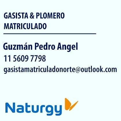 Imagen 1 de 9 de Gasista Matriculado Norgas