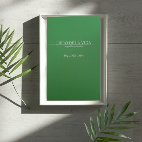 Libro De La Vida (luz, Libertad, Vida Eterna)