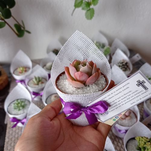 Imagen 3 de 6 de Recuerdos De Yute Con Plantitas - Cactus Y Suculentas