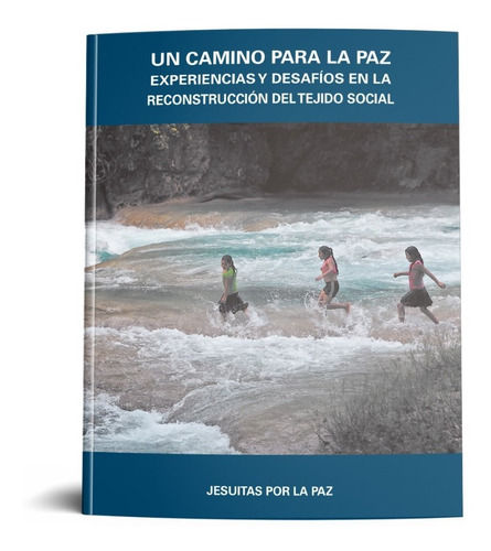 Camino Para La Paz: Experiencias Y Desafios Tejido Social.