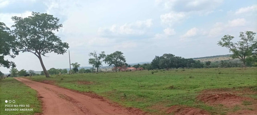 Imagem 5 de 13 de Fazenda Município De Comendador Gomes