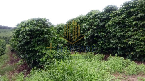 Imagem 2 de 15 de Fazenda Para Venda Em Ouro Fino, - - Fazenda 0_1-2221666