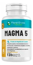 Comprar Magma 5 500mg 5 Fontes De Magnesio 120 Cps Floral Ervas