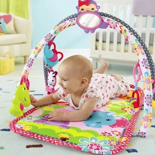 Gimnasio Musical 3en1 Rosa Juegos Y Espejo Fisher Price