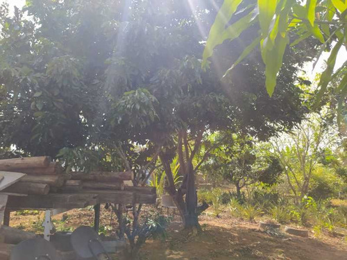 Imagem 14 de 15 de Terreno Parque São Martinho - Bitr00033