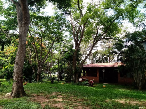 Imagem 21 de 30 de Sítio 23 Alqueires,terra Fértil,muito Boa,rio Fundo Propriedade,benfeitorias Otima Estrutura,casa Sede 3 Dorms 1 Suíte,churrasqueira,piscina - St00050 - 69179656
