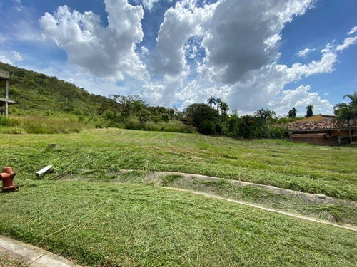 Imagen 8 de 9 de Johanna Castillo Vende 04145951217 Terreno En Hato Royal