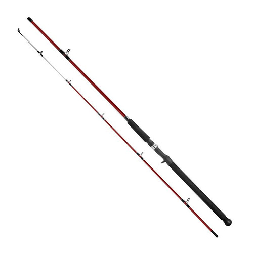 Vara Gaby Cast Saint Plus Carretilha (1,80m - 30lb) 2 Partes