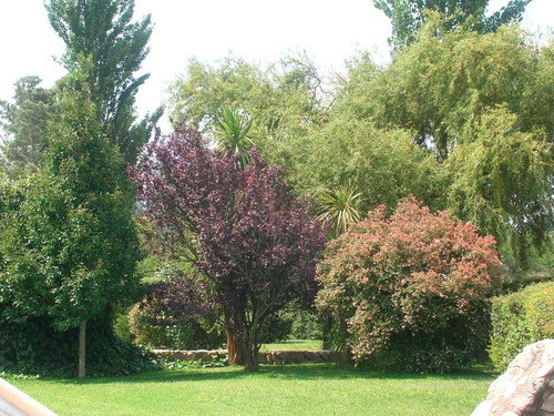 Casa Chalet Sobre La Costa Del Lago San Roque