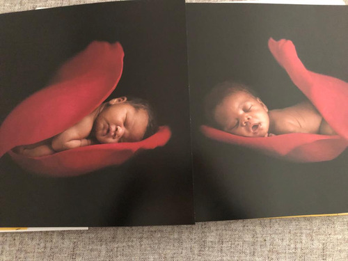 Anne Geddes Cherished Thoughts With Love - Fotografias (Usado)