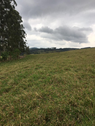 Imagem 14 de 30 de C03- Compre, Construa, Invista Ou Revenda