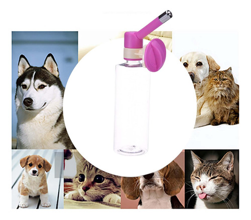 Alimentador De Agua Para Mascotas Pequeñas Sin Rosado