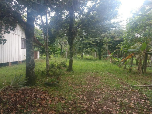 Charmosa Chácara Localizada Na Vila Das Palmeiras - Ch0139