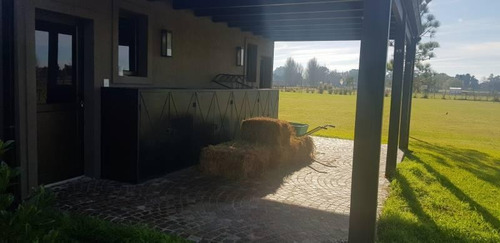 Imagen 8 de 15 de Susana Aravena Propiedades Excelente Propiedad En Barrio De Chacras Haras El Malacate