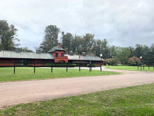 Imagen 2 de 6 de Terreno - Haras San Pablo