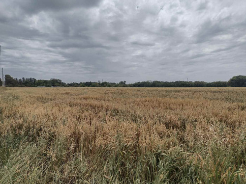 Venta Campo 10 Hectareas En Pilar Apto Loteo