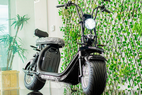 Imagem 1 de 13 de Scooter Eletrica Gloov 2000