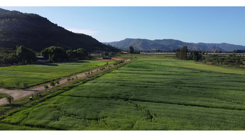 Parcelas Agroresidenciales Exclusivas En Curico Sector Rauco