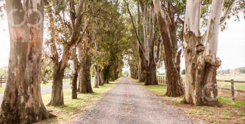 Imagen 2 de 5 de Lote En El Campo - Fincas Exclusivas Cardales / Club De Campo