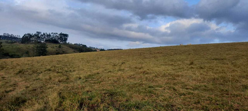 Imagem 2 de 14 de C09- Vende-se Terreno De 10 Mil Metros Em Igaratá