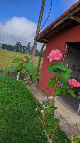 Imagem 23 de 30 de Chácara 30.000m2,casa Sede E Caseiro,pomar,chiqueiro,curral,churrasqueira,piscina,salão,tanque Pesca,galinheiro,quarto Ferramentas,cercado,escriturada - Ch00092 - 69588354