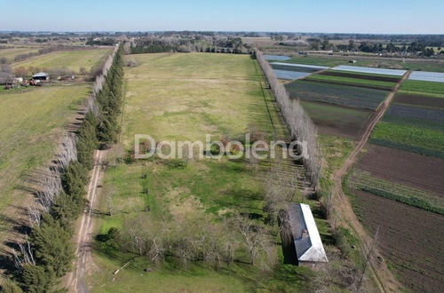Imagen 6 de 30 de Campo En Venta - General Rodríguez - G.b.a. Zona Oeste