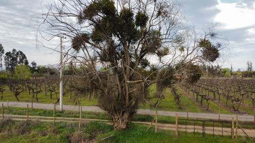Parcela 5000 M2, Sector Las Rastras