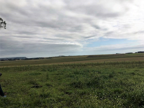 Imagen 9 de 14 de Campo 66 Hs Agricola-ganadero En Balcarce