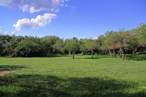 Imagen 4 de 14 de Terrenos En Venta A 15min De Valle De Bravo - Buen Precio