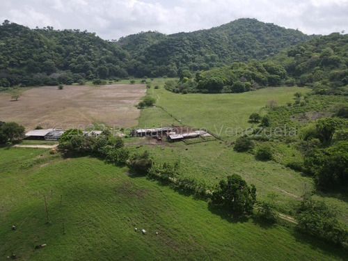 Imagen 16 de 30 de Finca En Venta San Felipe 1500 Ha, #23-14481
