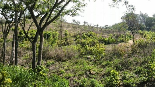 Imagen 4 de 6 de Terreno En Venta En Urb. Carialinda Naguanagua Cod: Fot-180