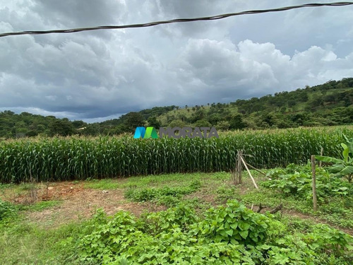 Imagem 13 de 15 de Fazenda - Zona Rural - Ref: 5345 - V-mta5345