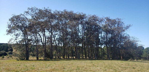 Imagen 29 de 30 de Chacra En Venta, Fraccion De 20 Has En Jose Ignacio (ref: Atm-6766)