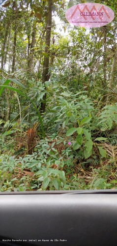 Chácara Para Venda Em Ribeirão Pires, Pilar Velho - 000333333_2-1163332