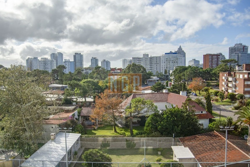 Imagen 7 de 23 de Alexander Boulevard, Apartamento De 3 Dormitorios En Venta