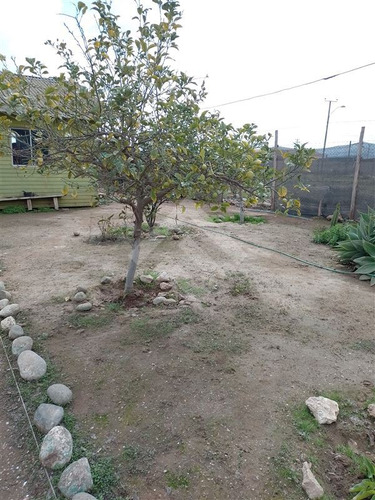 Sitio En Venta En Coquimbo