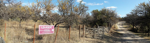 Imagen 3 de 10 de Terreno - Cortaderas