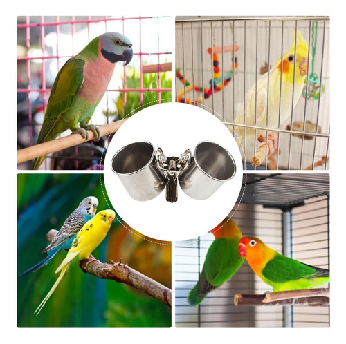 Tazas Para Platos De Alimentación De Pájaros Cuenco De Comid