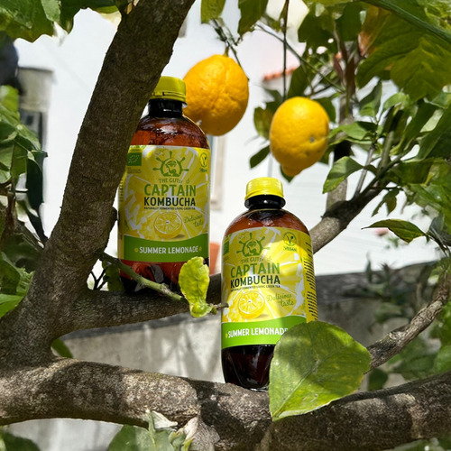 Kombucha Orgánica Limonada Gutsy Captain 400 Ml